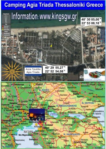 International-meeting-46