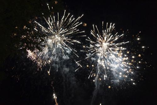 1st Bulgaria treffen (99)