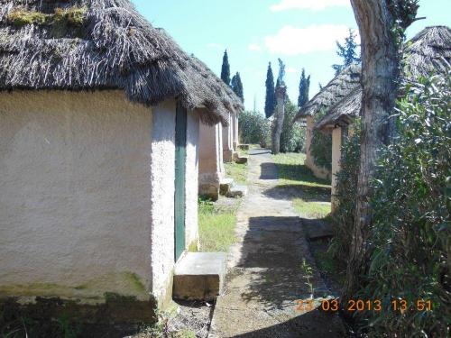 3.23 Corfu camping (3)