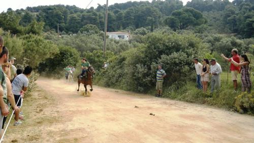 5.6 Σκιάθος (5)