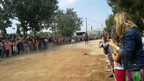 5.6 Σκιάθος (6)