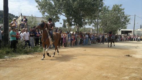 5.6 Σκιάθος (7)