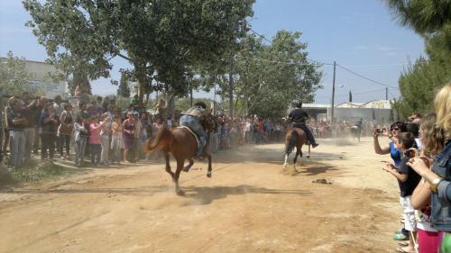 5.6 Σκιάθος (8)