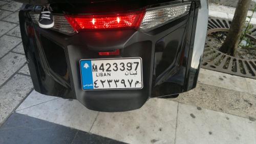 7-25 visitors from Lebanon (7)