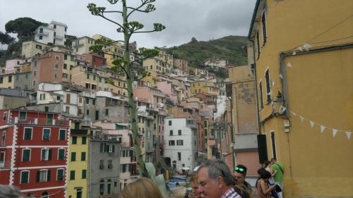 06-23 Cinque Terre (5)