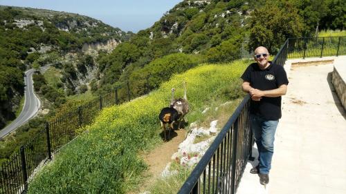 4-4th Greek tiny mini (10)