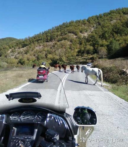 10-12-Bulgaria-tour-6
