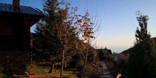 11-30-Naousa-tour-2