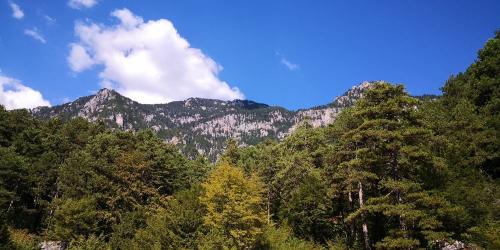 9-13 Olympus tour (19)