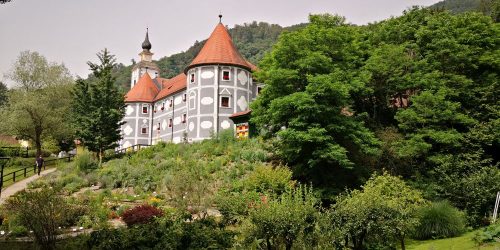 1.-Slovenia-Festival-23