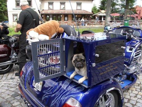 5 Bergsee Ratscher (41)